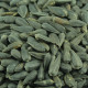 Sunflower seeds dwarf «Baby», ТМ OGOROD