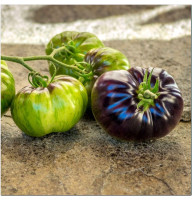 Tomato seeds "Lovely Lush" (Beautiful Lush), series "From the author"
