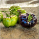 Tomato seeds "Lovely Lush" (Beautiful Lush), series "From the author"